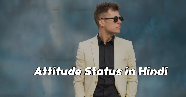 Attitude Status in Hindi